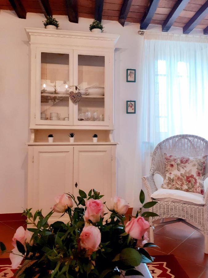 Rustico Degli Ulivi Villa Vallecchia Екстериор снимка